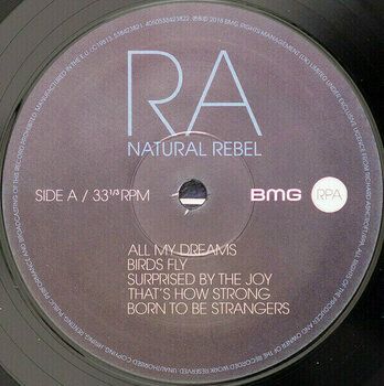 LP Richard Ashcroft - Natural Rebel (LP) - 3