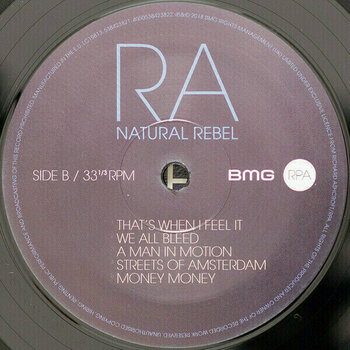 Disque vinyle Richard Ashcroft - Natural Rebel (LP) - 4