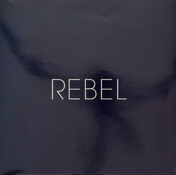 LP Richard Ashcroft - Natural Rebel (LP) - 6