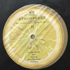 Disco de vinil Atmosphere - When Life Gives You Lemons, You Paint That Shit Gold (Anniversary Edition) (Gold Coloured) (2 LP) - 2
