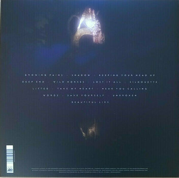 Vinyl Record Birdy - Beautiful Lies (2 LP) - 3