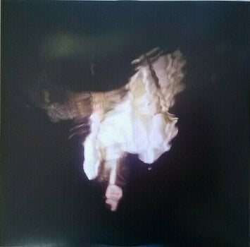 Vinyl Record Birdy - Beautiful Lies (2 LP) - 5