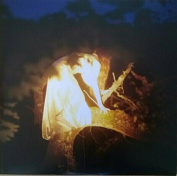 Vinyl Record Birdy - Beautiful Lies (2 LP) - 9