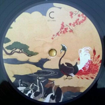 Vinyl Record Birdy - Beautiful Lies (2 LP) - 10