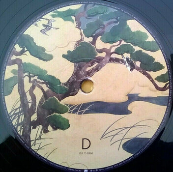 Vinyl Record Birdy - Beautiful Lies (2 LP) - 11