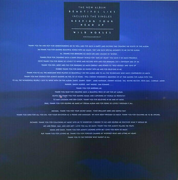 Vinyl Record Birdy - Beautiful Lies (2 LP) - 12