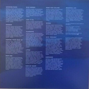 Vinyl Record Birdy - Beautiful Lies (2 LP) - 13