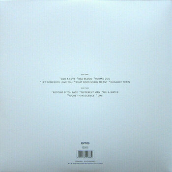 Δίσκος LP Boy George & Culture Club - Life (LP) - 8