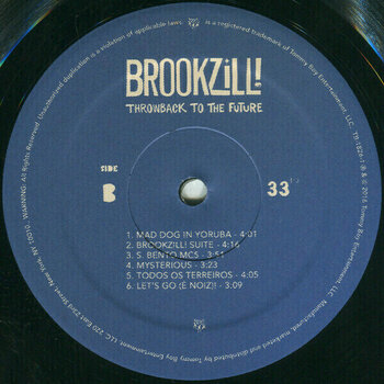 Vinyl Record BROOKZILL! - Throwback To The Future (LP) - 3