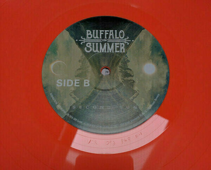 Vinyl Record Buffalo Summer - Second Sun (LP) - 3