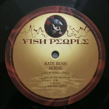 Vinylplade Kate Bush - Aerial (2 LP) - 2