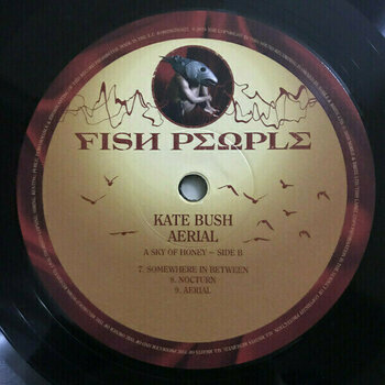 Vinyl Record Kate Bush - Aerial (2 LP) - 5