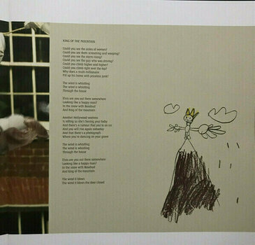 Vinyylilevy Kate Bush - Aerial (2 LP) - 9