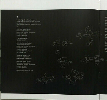 Грамофонна плоча Kate Bush - Aerial (2 LP) - 10