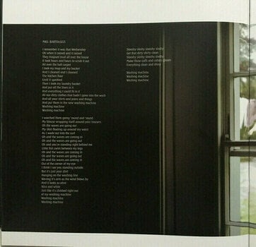 Vinyl Record Kate Bush - Aerial (2 LP) - 12
