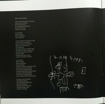 Грамофонна плоча Kate Bush - Aerial (2 LP) - 14