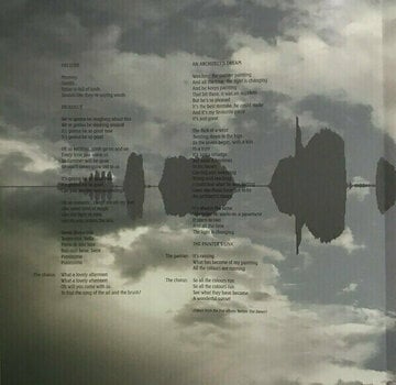 Vinylskiva Kate Bush - Aerial (2 LP) - 20