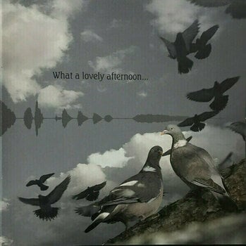 Vinyylilevy Kate Bush - Aerial (2 LP) - 21