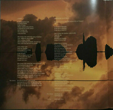 Vinyl Record Kate Bush - Aerial (2 LP) - 22