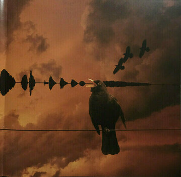 Disc de vinil Kate Bush - Aerial (2 LP) - 23