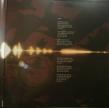 Disque vinyle Kate Bush - Aerial (2 LP) - 27