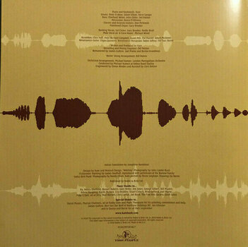 Vinylplade Kate Bush - Aerial (2 LP) - 30