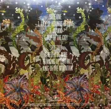 Vinylskiva Kate Bush - Before The Dawn (4 LP) - 4