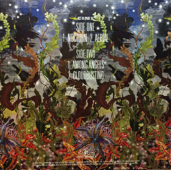 Disque vinyle Kate Bush - Before The Dawn (4 LP) - 10