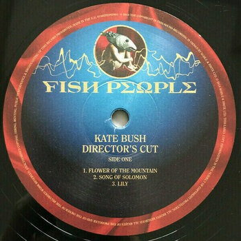 Hanglemez Kate Bush - Director’s Cut (2 LP) - 2