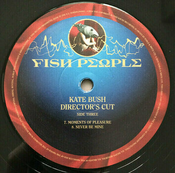 Disque vinyle Kate Bush - Director’s Cut (2 LP) - 4