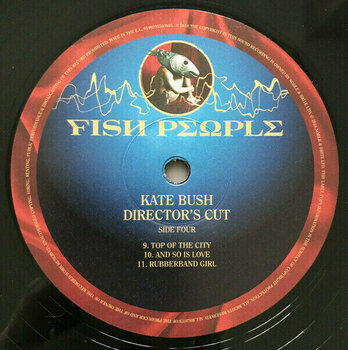 Hanglemez Kate Bush - Director’s Cut (2 LP) - 5
