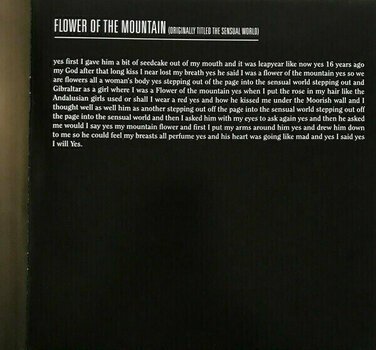 Disque vinyle Kate Bush - Director’s Cut (2 LP) - 10