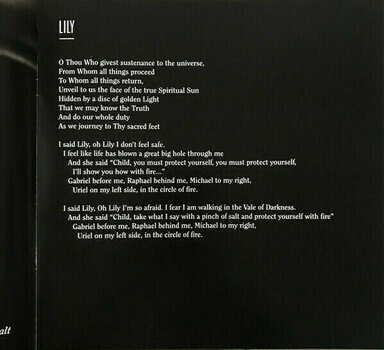 Disque vinyle Kate Bush - Director’s Cut (2 LP) - 14