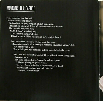 Vinylplade Kate Bush - Director’s Cut (2 LP) - 19