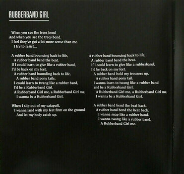 Vinylplade Kate Bush - Director’s Cut (2 LP) - 27