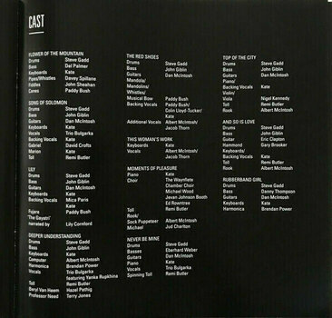 Hanglemez Kate Bush - Director’s Cut (2 LP) - 28