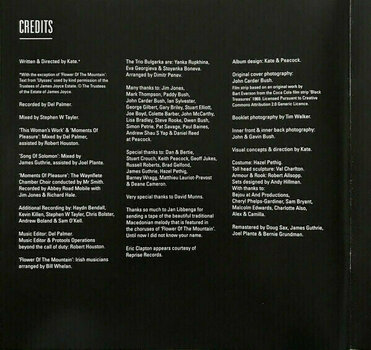 Vinyylilevy Kate Bush - Director’s Cut (2 LP) - 29