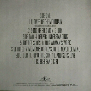 Disque vinyle Kate Bush - Director’s Cut (2 LP) - 31