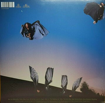 Vinyl Record Kate Bush - Never For Ever (LP) - 4