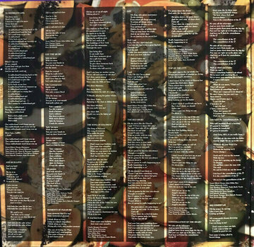 Vinylplade Kate Bush - The Red Shoes (2 LP) - 6