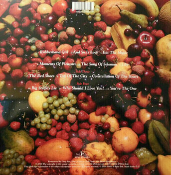 Vinylplade Kate Bush - The Red Shoes (2 LP) - 8