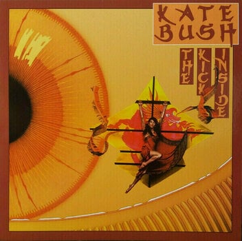 LP deska Kate Bush - Vinyl Box 1 (4 LP) - 3