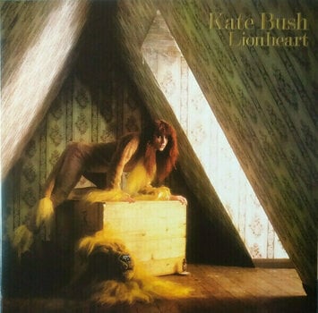 Vinylskiva Kate Bush - Vinyl Box 1 (4 LP) - 4