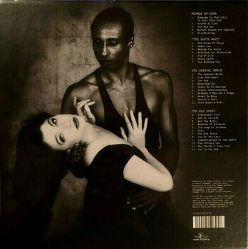 Грамофонна плоча Kate Bush - Vinyl Box 2 (3 LP) - 22