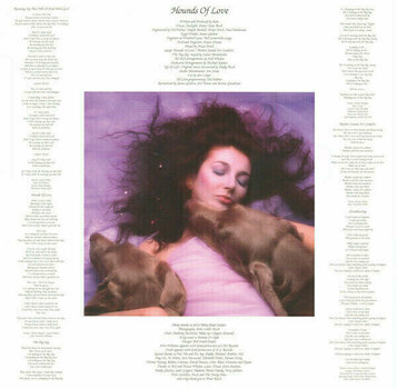 LP Kate Bush - Vinyl Box 2 (3 LP) - 13
