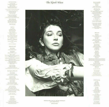 Vinylplade Kate Bush - Vinyl Box 2 (3 LP) - 14