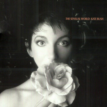 Vinyylilevy Kate Bush - Vinyl Box 2 (3 LP) - 15