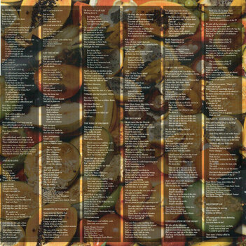 Schallplatte Kate Bush - Vinyl Box 2 (3 LP) - 19