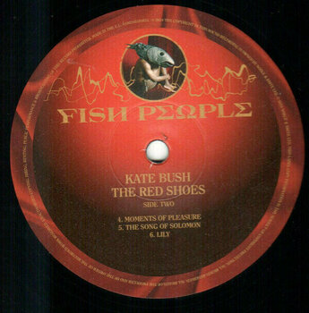 Vinyl Record Kate Bush - Vinyl Box 2 (3 LP) - 8