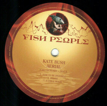 Vinylplade Kate Bush - Remastered In Vinyl III (6 LP) - 3